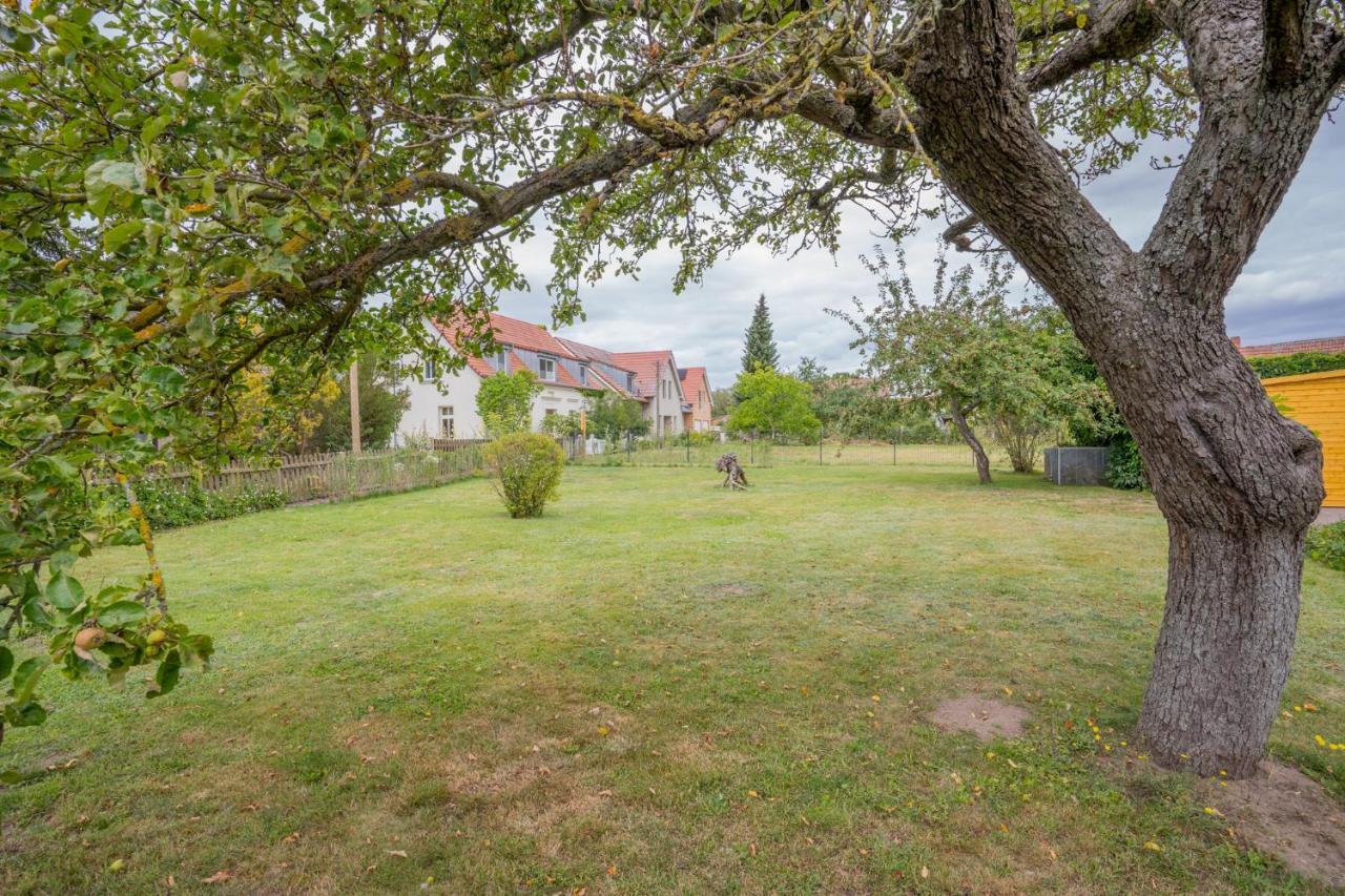 Ferienhaus "Seeadler" In Rankwitz Am Peenestrom Εξωτερικό φωτογραφία